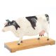 The cow acupuncture model