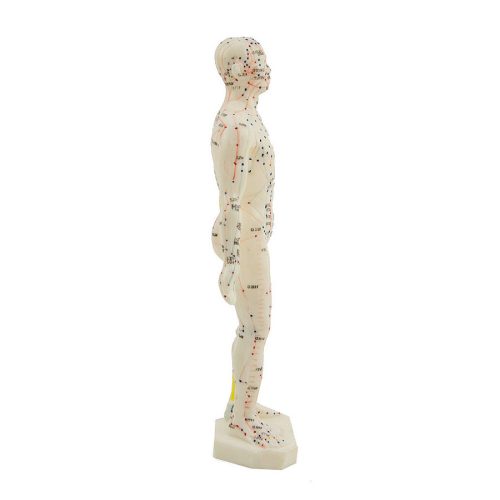 Acupuncture figure