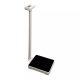 Momert 5969 digital column balance